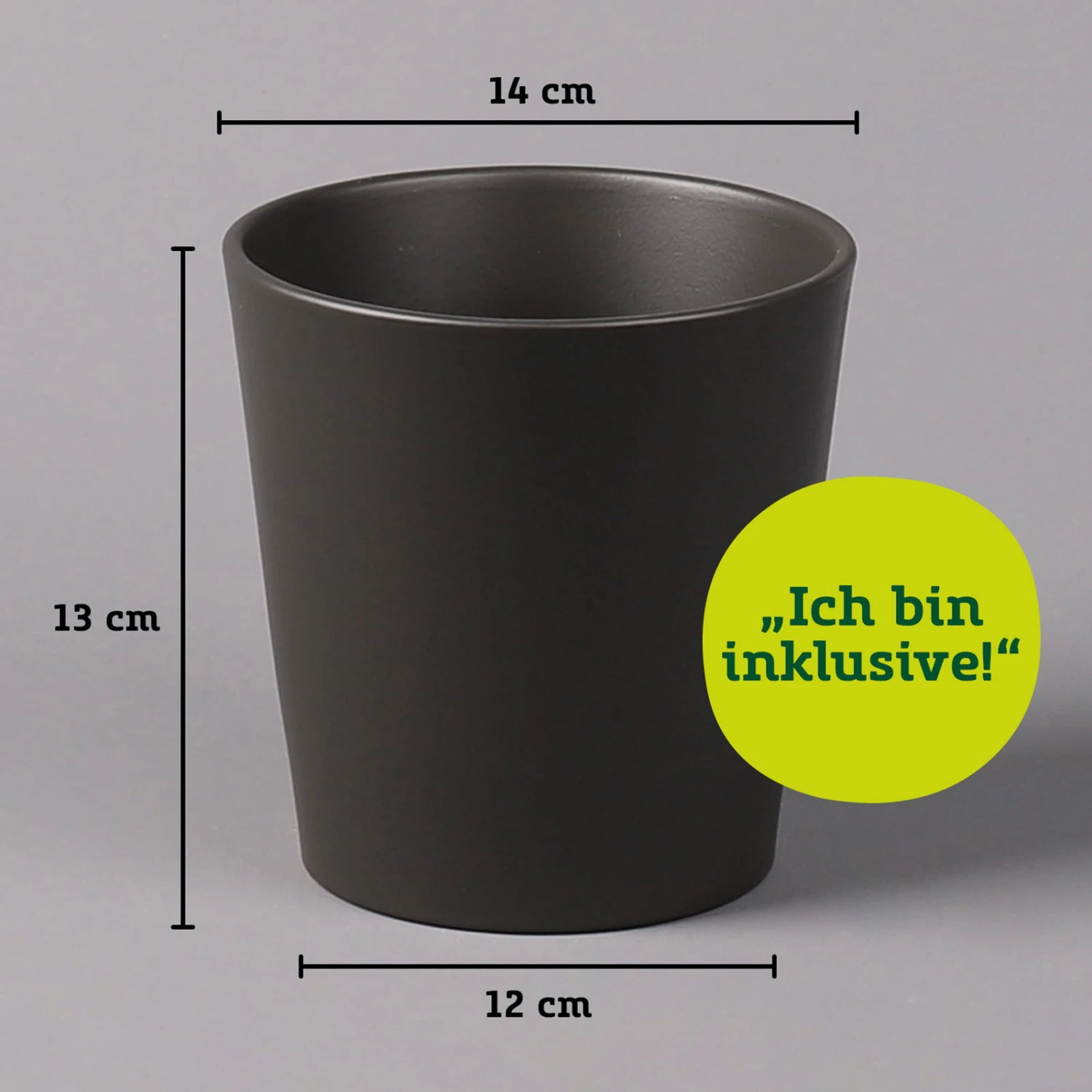 Kaffeestrauch Mit Keramiktopf Dallas Anthrazit, Topf-Ø 12cm, Höhe Ca. 25 Cm 6 Kaffeestrauch Mit Keramiktopf Dallas Anthrazit, Topf-Ø 12cm, Höhe Ca. 25 Cm – Bild 6