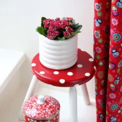 Kalanchoe 'Calandiva'®, Rot, Topf-Ø 12 Cm, Höhe Ca. 27,5 Cm, 6er-Set -Bestes Gartengeräte Geschäft 0210350161 Kalanchoe Cal rot