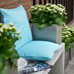 Kalanchoe 'Calandiva'®, Weiß, Topf-Ø 12 Cm, Höhe Ca. 27,5 Cm, 6er-Set -Bestes Gartengeräte Geschäft 0210350168 Kalanchoe Cal weiss2