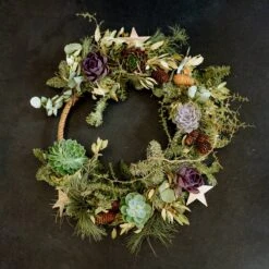 Schnittecheverien-Mix, Ø 12 Cm, 4er-Set 12 Schnittecheverien-Mix, Ø 12 Cm, 4er-Set -Bestes Gartengeräte Geschäft 0250103364 Echeveria Mix 7 10cm in DIY Box 5 117175