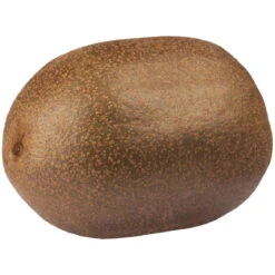 Gelbfruchtige Kiwi 'Golden Kiwi', 2er-Set, Topf 15 Cm Ø -Bestes Gartengeräte Geschäft 0480960140 0480960142 Golden Kiwi 87664