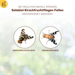 Solabiol Kirschfruchtfliegenfalle, 5er-Pack -Bestes Gartengeräte Geschäft 0950200760 Solabiol Kirschfruchtfliegenfalle 5Stueck 1 107242