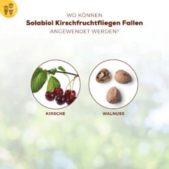 Solabiol Kirschfruchtfliegenfalle, 5er-Pack -Bestes Gartengeräte Geschäft 0950200760 Solabiol Kirschfruchtfliegenfalle 5Stueck 3 107240