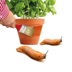 Schnexagon, Anstrich Gegen Schnecken, 375 Ml -Bestes Gartengeräte Geschäft 0950300991 Schnexagon 375ml 1 94152