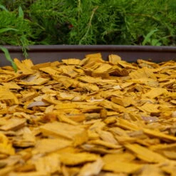 Plantop Dekormulch Goldgelb, 1950 L Gesamt, 39 Sack á 50 Liter -Bestes Gartengeräte Geschäft 0960 mulch gelb 125177