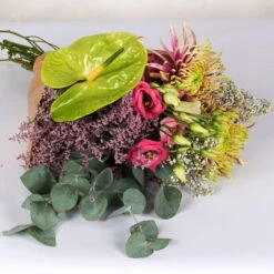 Gemischter Blumenbund 'Baltazar Mit Anthurie' Inkl. Gratis Grußkarte -Bestes Gartengeräte Geschäft 1025700011 DIY Mixbund Baltazar mit Anthurie Chrysa Lisi Gypso Statice Euka Anthurie 2 94430