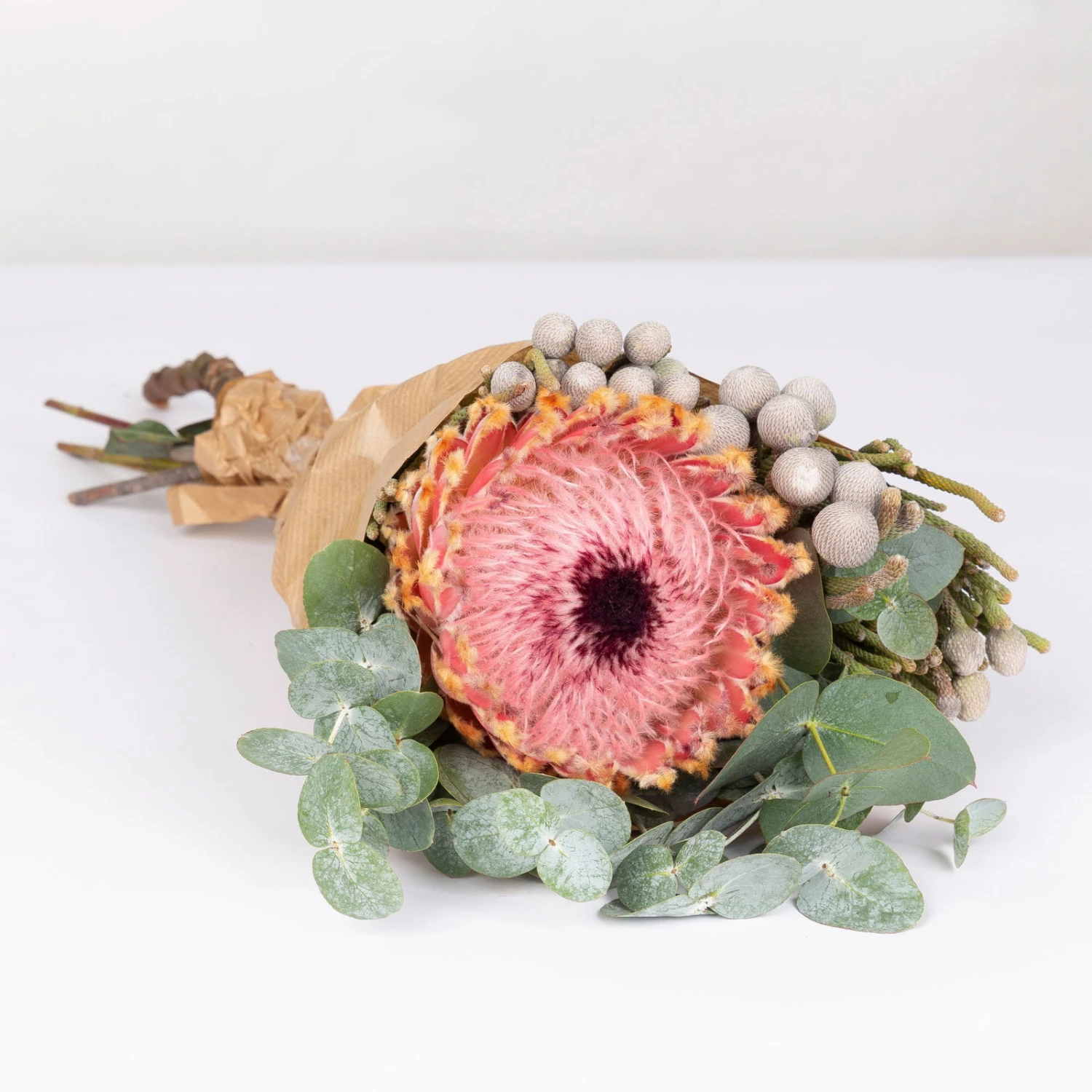 Blumenbund Protea Barbigera Mit Eukalyptus Und Brunia, Inkl. Gratis Grußkarte 2 Blumenbund Protea Barbigera Mit Eukalyptus Und Brunia, Inkl. Gratis Grußkarte – Bild 2