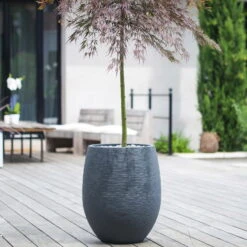 Pflanzgefäß Graphit Egg, Anthrazit, Wasserdicht, Robust -Bestes Gartengeräte Geschäft 3210103698 Pflanzgefaess Graphit Egg anthrazit D50xH60cm 53Ltr 1 62076
