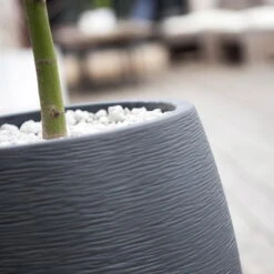 Pflanzgefäß Graphit Egg, Anthrazit, Wasserdicht, Robust -Bestes Gartengeräte Geschäft 3210103698 Pflanzgefaess Graphit Egg anthrazit D50xH60cm 53Ltr 2 62075