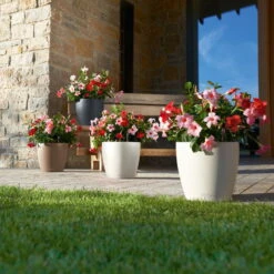 LECHUZA Pflanzgefäß 'Classico Color 70', Grau, Ø 70 X H 64,5 Cm -Bestes Gartengeräte Geschäft 3210103919 Pflanzgefaess Classico Color 60 All in 1 schiefergrau 3 109198 1