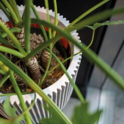 Pflanzgefäß 'Groove', Elfenbein, Ø 35 X H 34 Cm -Bestes Gartengeräte Geschäft 3210104106 3210104107 3210104108 pflanzgefaess pflanzvase groove 116896