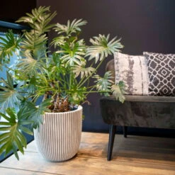 Pflanzgefäß 'Groove', Elfenbein, Ø 35 X H 34 Cm -Bestes Gartengeräte Geschäft 3210104106 pflanzgefaess groove 2 116898