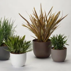 Pflanzkübel 'Rio', Rost, Ø 34 X H 28 Cm -Bestes Gartengeräte Geschäft 3210104130 3210104131 3210104132 3210104133 pflanzkuebel rio 122622