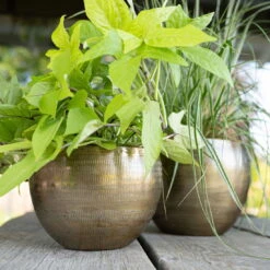 Pflanzgefäß 'Rowen', Gold, Ø 22 X H 17 Cm -Bestes Gartengeräte Geschäft 3210801609 Pflanzgefaess Rowen gold D 22 x H 17 cm 1 114969