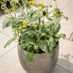 Pflanzgefäß 'Rowen', Silber, Ø 42 X H 41 Cm -Bestes Gartengeräte Geschäft 3210801625 3210801626 3210801627 3210801628 Pflanzgefaess Rowen silber 6 115002