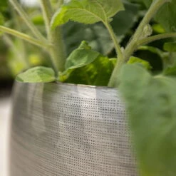 Pflanzgefäß 'Rowen', Silber, Ø 42 X H 41 Cm -Bestes Gartengeräte Geschäft 3210801625 3210801626 3210801627 3210801628 Pflanzgefaess Rowen silber 9 115005