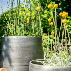 Pflanzgefäß 'Rowen', Silber, Ø 41 X H 72 Cm 14 Pflanzgefäß 'Rowen', Silber, Ø 41 X H 72 Cm -Bestes Gartengeräte Geschäft 3210801635 3210801636 3210801637 3210801638 Pflanzgefaess Rowen silber 12 115029