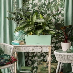 Bestes Gartengeräte Geschäft -Bestes Gartengeräte Geschäft 3230101153 Balconera Color 50 All in One Set pastellgruen 2 109185