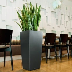 LECHUZA Cubico Premium 30, Anthrazit-metallic, All-in-One-Set, 30x30, H:56 Cm