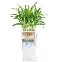 LECHUZA Cubico Premium 40, Weiß Hochglanz, All-in-One-Set, 40 X 40, H:75 Cm -Bestes Gartengeräte Geschäft 3325100114 CubicoPremium22 weiss All in One Set 22x22x41cm RGB 7573