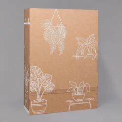 Philodendron 'Brasil' In Keramiktopf Dallas Weiß, Topf-Ø 12 Cm, 2er-Set -Bestes Gartengeräte Geschäft B2 02 Karton Sets mit Keramik 1 126161