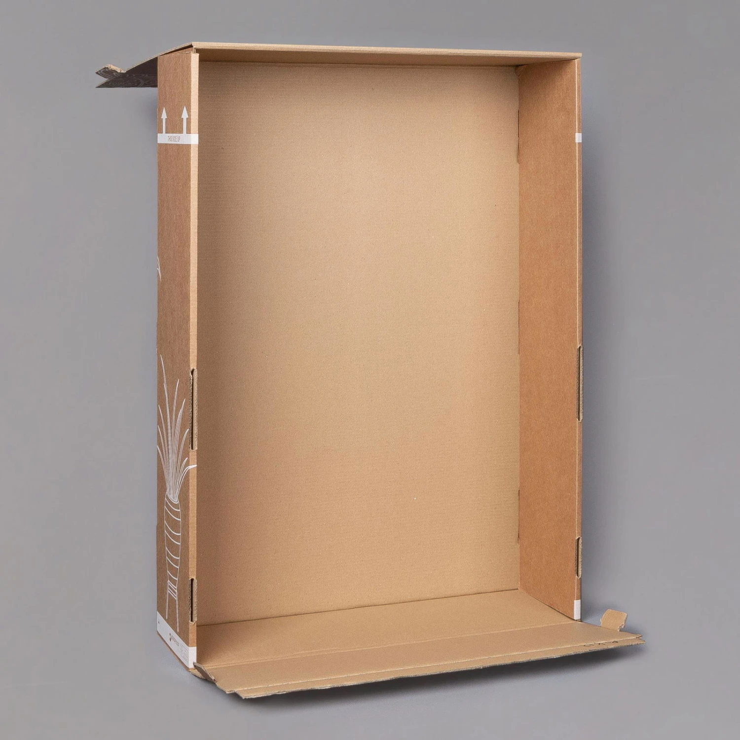 Rose Mit Topf Dallas Weiß, Topf-Ø 13 Cm, 3er-Set 3 Rose Mit Topf Dallas Weiß, Topf-Ø 13 Cm, 3er-Set – Bild 3