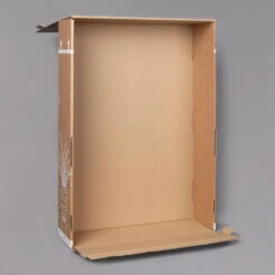 Philodendron 'Brasil' In Keramiktopf Dallas Weiß, Topf-Ø 12 Cm, 2er-Set -Bestes Gartengeräte Geschäft B2 02 Karton Sets mit Keramik 3 126159